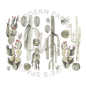 Cactus Garden Wall Decals Urbanwalls image 5