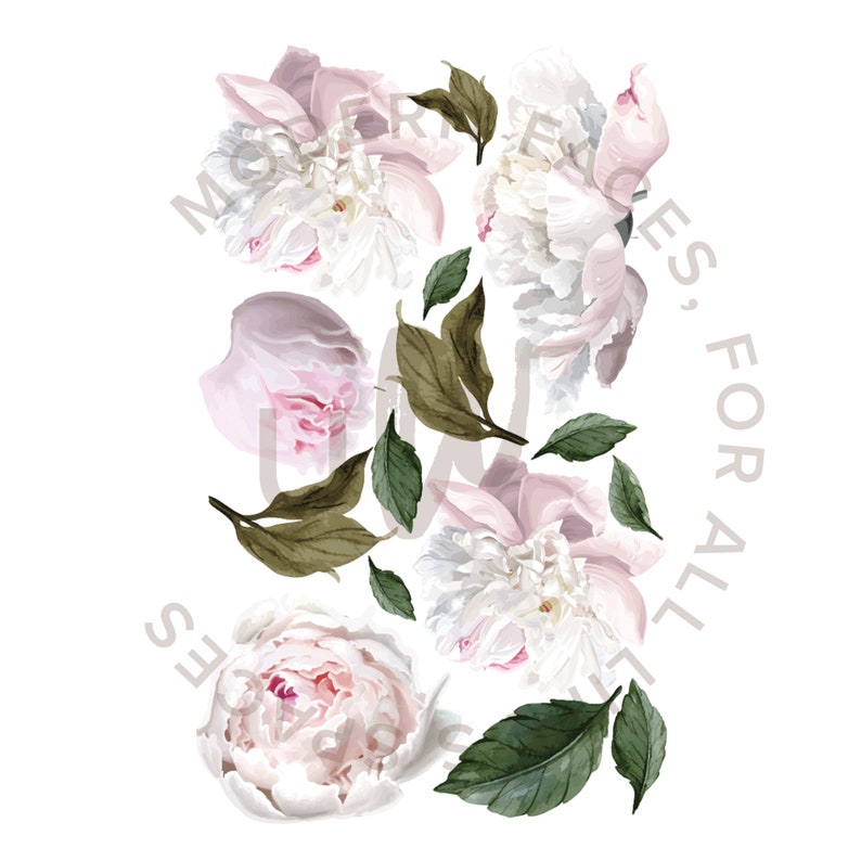 Peony Half Order Wall Decals Urbanwalls Half Order