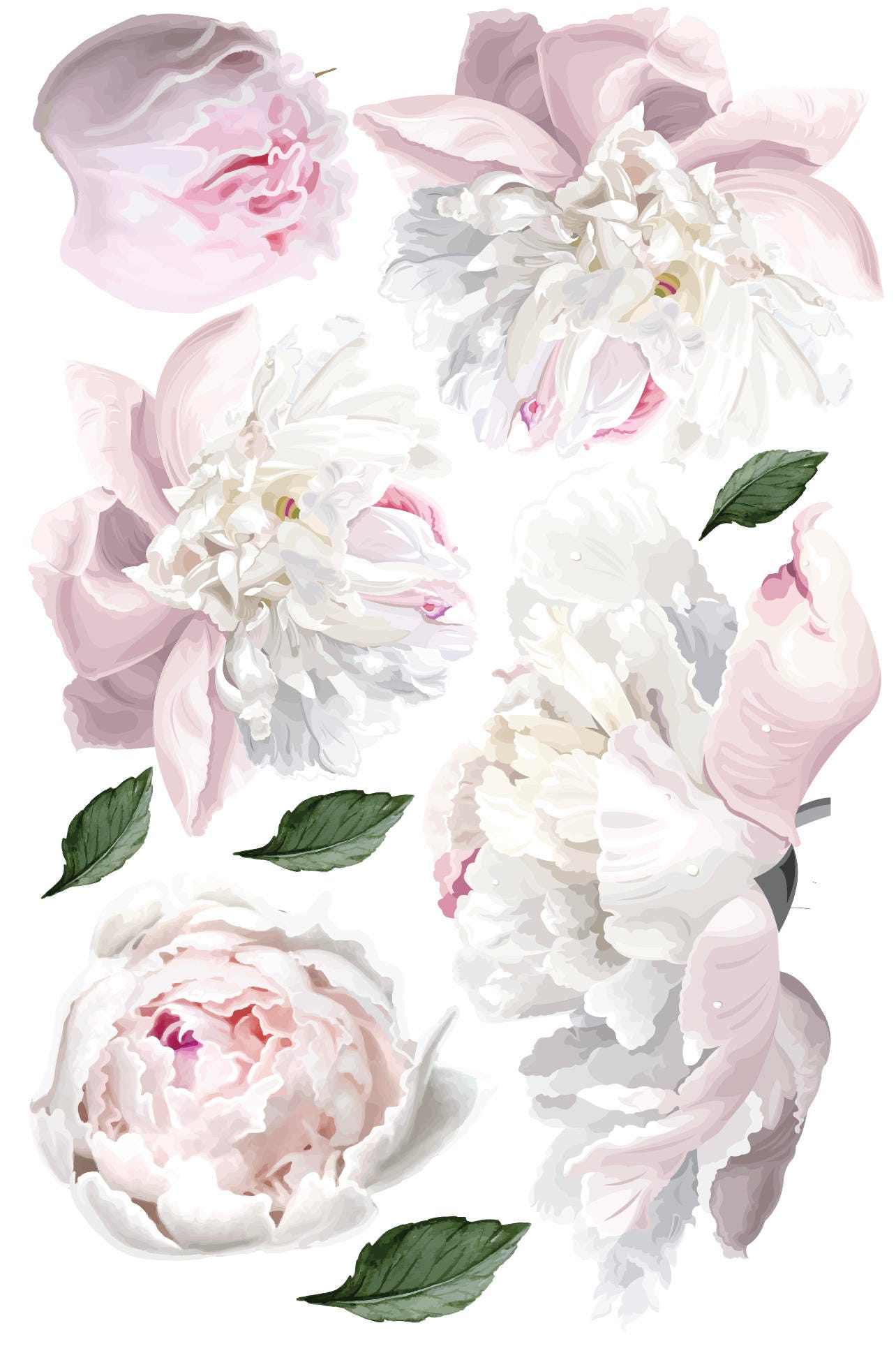 Vinyl Wall Sticker Decals Peonies Etsy