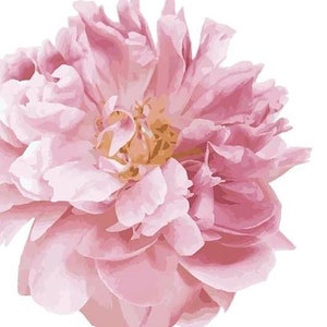 Beautiful Peony Garden Flower Pack Wall Decals Urbanwalls image 2