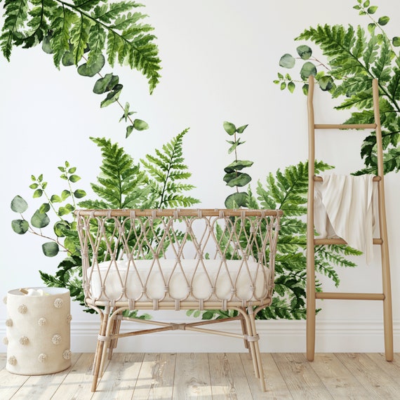 hedera helix plant English Ivy Plant Care - How to Grow Hedera helix