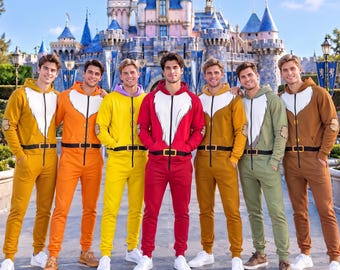 DN Seven Dwarfs Costume 3D Jumpsuit, Snow White Cosplay Matching Shirt, DN 7 Dwarfs Hoodie Jumpsuit Halloween For Family Group Trip Shirt