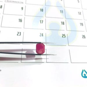 Könnte beinhalten: Ein kleiner, rechteckiger, leuchtend pinker Edelstein, der von einer dünnen, schwarzen Metallpinzette gehalten wird. Der Edelstein hat eine leicht facettierte Oberfläche und eine satte Farbe, vor einem weißen Kalenderhintergrund.