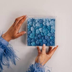 May include: A clear acrylic box filled with blue flower petals. The petals are in varying shades of blue, creating a gradient effect. The box is held by hands, and the background is a plain white wall.