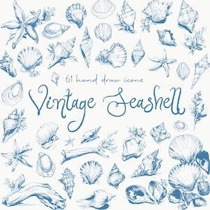 Vintage Seashell Clipart PNG, Botanical Sea Shells, Coastal Art for Beach Wedding Invitations, Hand Drawn Sea Clipart