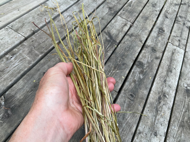 Dandelion Cordage Handmade Dandelion Twine Natural Dandelion Rope Natural Cordage image 6