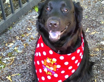 En algún lugar es la hora de las golosinas para mascotas