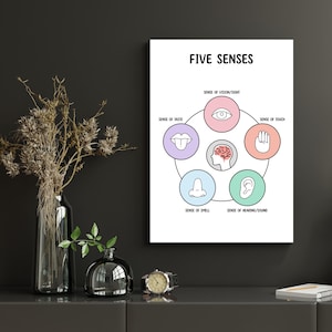 Cuadro de pósteres de los cinco sentidos, póster educativo bohemio imprimible, póster de decoración para el aula Montessori, impresiones para la educación en el hogar, decoración de arte de pared para sala de juegos infantil