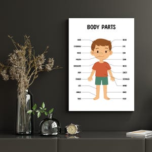 Body Parts Poster Printable homeschool Educational Poster Montessori classroom decor poster homeschool prints Kids playroom wall art decor