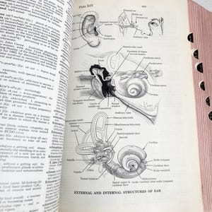 Libro di medicina vintage degli anni &#39;70 &quot;Dorland&#39;s Illustrated Medical Dictionary&quot;, 25a edizione, Malattia, Infermità, Stranezza, Macabro, Gotico, Halloween