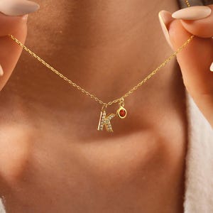 Paved Initial Birthstone Necklace, Dainty Initial Pendant, Customized Initial Necklace, Birthstone Personalized Necklace, Birthstone Jewelry