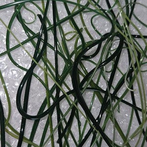 vitrigraph 96 various green shades