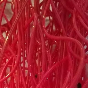 Puede incluir: Primer plano de una masa enredada de cuerda roja brillante. La cuerda es fina y parece estar hecha de plástico.