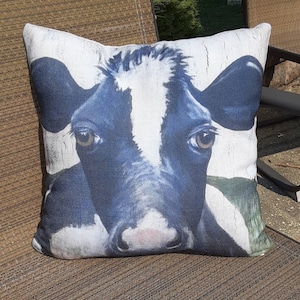 May include: A white and black cow pillow with a close-up of the cow's face. The cow has a black nose and large brown eyes.