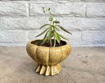 vintage YELLOW and BROWN speckled pedestal planter pot