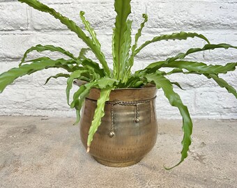 FOUND : vintage BRASS planter with gold rope detail