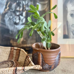 May include: A small, brown ceramic pot with a green plant inside. The pot has a textured design and is sitting next to a woven basket. Artwork is in the background.