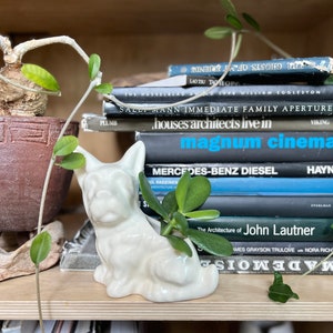 May include: A white ceramic figurine of a dog sitting on a shelf with a stack of books. The books have titles like "magnum cinema", "houses architects live in", and "The Architecture of John Lautner".