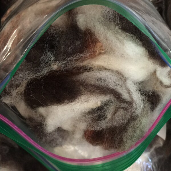 1 ounce of Natural Black/Brown/Gray and White Jacob Sheep wool