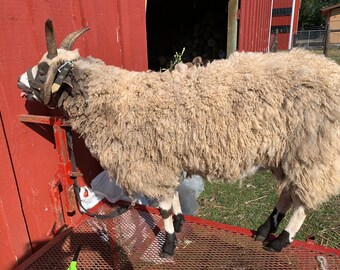 Lilac (gray/white) fleece from Nature