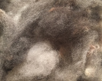 1 ounce '50 shades of Gray' washed Jacob Sheep wool