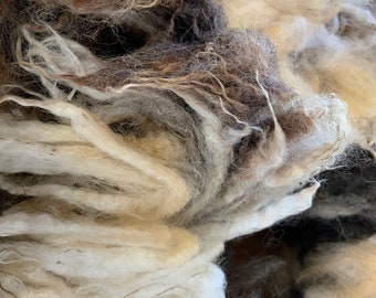 Gabrielle’s Jacob Sheep raw fleece