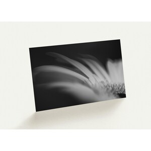 Cartes de visite élégantes en noir et blanc - Design simple et chic pour les professionnels - Cartes personnalisées minimalistes