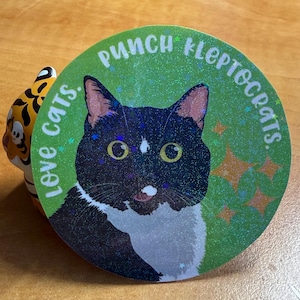 May include: A round, green sticker with a black and white cat illustration. The sticker has the text "love cats" and "punch kleptocrats" in a circular pattern. The cat has yellow eyes and pink ears. There are star and sparkle accents.