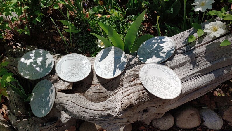 May include: Six white ceramic plates with a raised design on a weathered wooden log. The plates are arranged in a circle on the log, with the designs facing up.