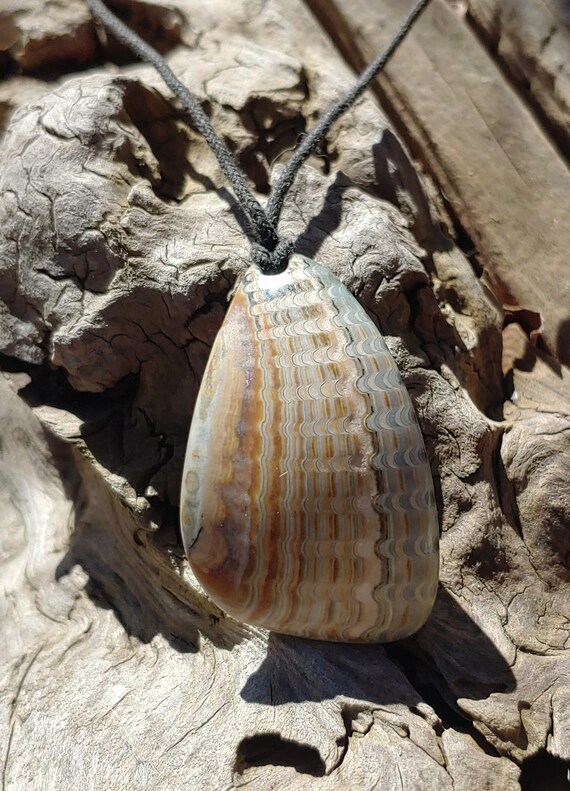 Oregon Coast Fossilized Shell Talisman Necklace - image 6