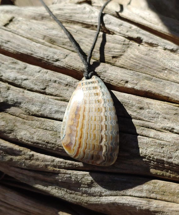 Oregon Coast Fossilized Shell Talisman Necklace - image 9
