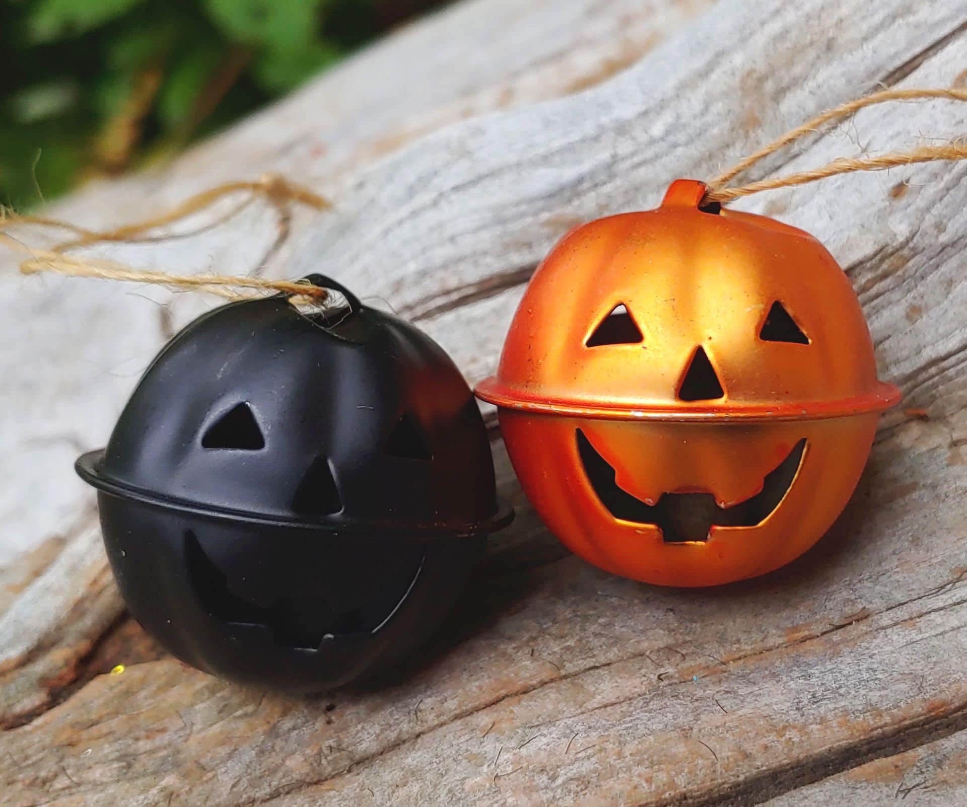 ハロウィン Jack-o'-lantern Abalone DA-11RD ハロウィン Jack-o'-lantern Abalone DA-11PL 22
