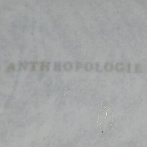 May include: A close-up of a grey concrete surface with the word "Anthropologie" printed in white.