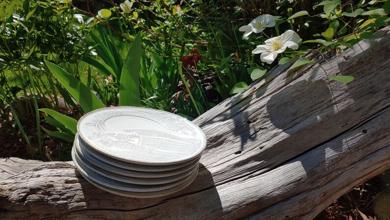 May include: A stack of five white ceramic plates with a decorative design. The plates are sitting on a weathered wooden log.