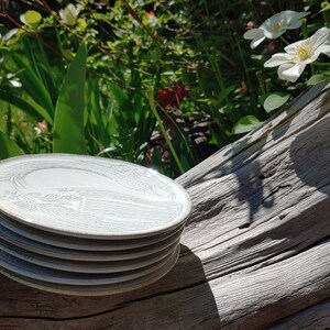 May include: A stack of six white ceramic plates with a grey rim and a delicate floral design. The plates are stacked on a weathered wooden log.