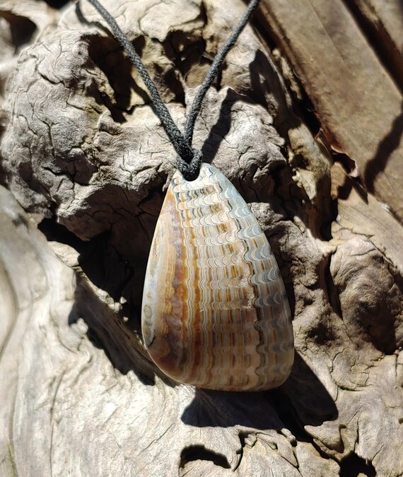 Oregon Coast Fossilized Shell Talisman Necklace - image 8