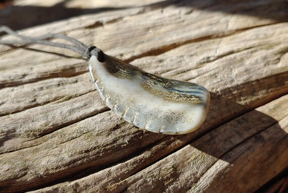 Oregon Coast Fossilized Shell Talisman Necklace - image 10