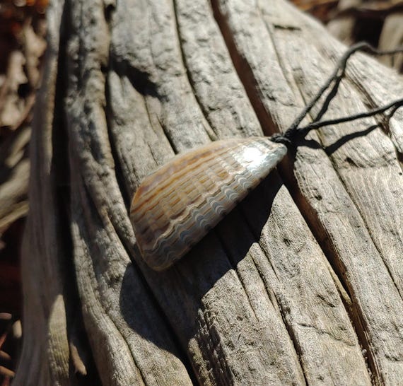 Oregon Coast Fossilized Shell Talisman Necklace - image 3
