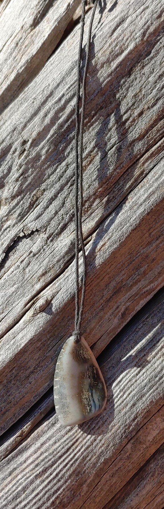 Oregon Coast Fossilized Shell Talisman Necklace - image 5