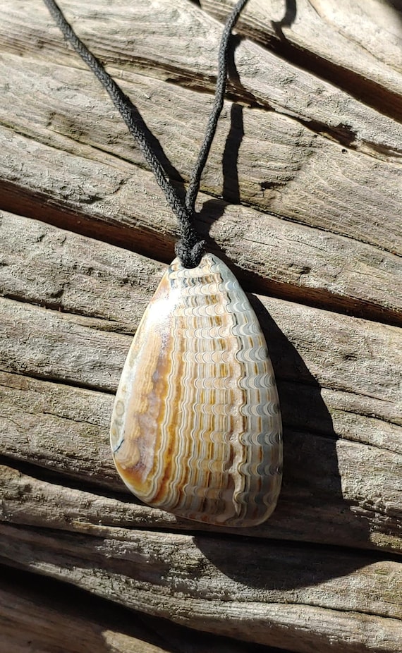 Oregon Coast Fossilized Shell Talisman Necklace - image 1