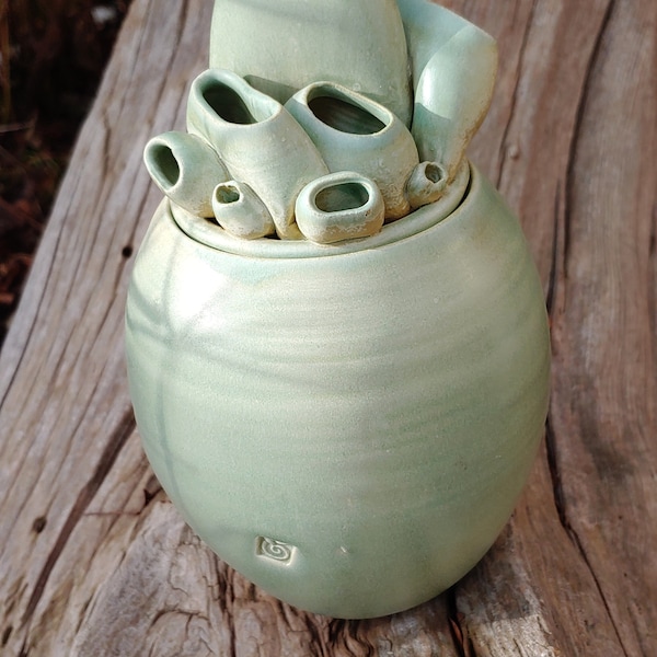 Handmade Ceramic Sea Green Barnacle Pot