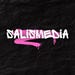 SalisMedia store logo