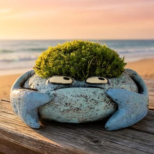May include: A whimsical crab-shaped planter with a mossy top, painted in shades of blue and gray. The planter has cartoonish eyes and blue claw-like arms. It sits on a wooden surface with a beach and ocean backdrop.