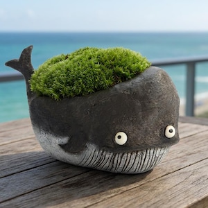Puede incluir: Una maceta en forma de ballena gris oscuro con aleta caudal y ojos grandes con bordes blancos. La boca de la ballena está detallada con líneas verticales, y su espalda está cubierta de musgo verde vibrante. La maceta es de material texturizado.