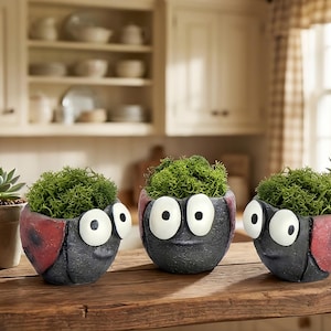 Puede incluir: Tres macetas con forma de mariquita, llenas de musgo verde. Las macetas son grises con detalles rojos y grandes ojos blancos de dibujos animados. Se encuentran sobre una superficie de madera, sugiriendo un tema decorativo o de jardín.