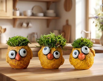 Set van 3 baby Chick-blobhouse-plantenbakken, speelse succulente boerderijpotten