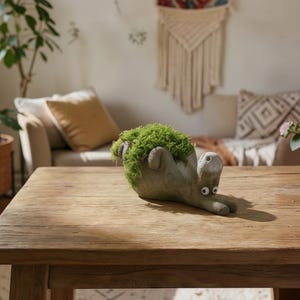 May include: A whimsical, gray concrete snail planter with googly eyes, filled with vibrant green moss. The snail is lying on a wooden table, creating a playful and unique decorative accent for any home or garden.