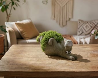 Donkey Blob house  Air plant or succulent Planter