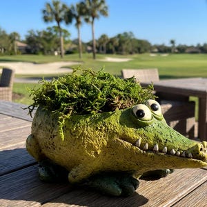 May include: A whimsical alligator-shaped planter, painted in shades of green and yellow, with large, googly eyes and a toothy grin. The planter is filled with green moss. The decorative item is placed on a wooden table, with a golf course in the background.