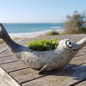 Dolphin Blobhouse-planter, lekfull suckulentkruka, kustnära heminredning